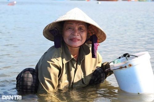 Ngư dân 'nhặt tiền' trên những rạn đá san hô