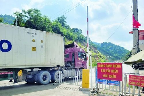 Ngành Hải quan đóng vai trò mắt xích quan trọng trong hoạt động xuất khẩu nông sản