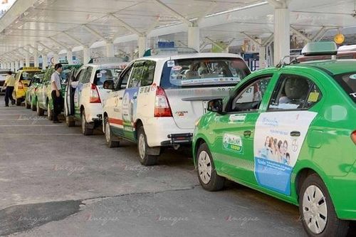 TP HCM: 'Điểm danh' các lỗi vi phạm chủ yếu của xe taxi