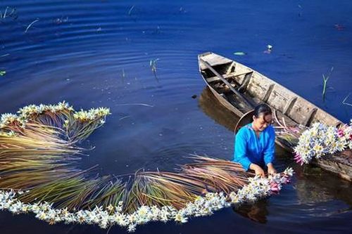 Người Nhật được khuyên đi du lịch Việt Nam