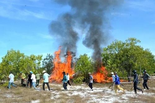 Kiểm lâm Quảng Nam nói gì xung quanh vụ 'đốt rừng phòng hộ' để diễn tập chữa cháy ?
