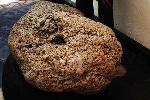 Đào giếng, nhóm thợ đụng trúng 'cục đá' khổng lồ trị giá hơn 2 ngàn tỷ đồng