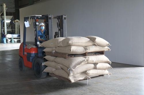 Gần 20 tấn cà phê đặc sản chuẩn bị xuất sang Nhật có gì đặc biệt?