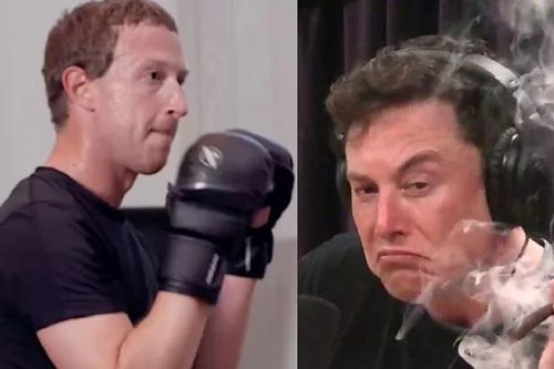 Mặc cho ba mẹ khuyên can, Elon Musk muốn tập luyện với võ sĩ hàng đầu để tỷ thí với Mark Zuckerberg