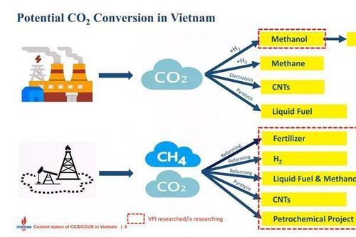 Thử nghiệm và mô phỏng thu giữ, sử dụng và lưu trữ carbon