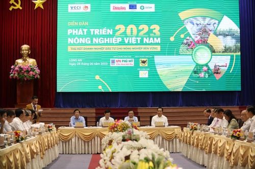 Đầu tư vào nông nghiệp công nghệ cao: Thu hút 'đại bàng' nhưng đừng quên 'chim sẻ'