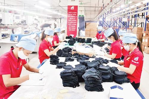 Bám sát sự phục hồi xuất khẩu dệt may
