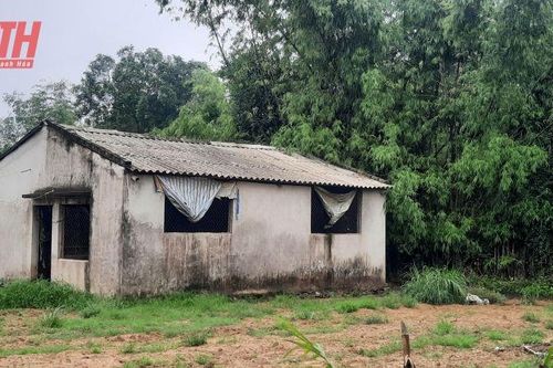 Bức xúc vì hộ gia đình chăn nuôi lợn gây ô nhiễm môi trường trong khu dân cư