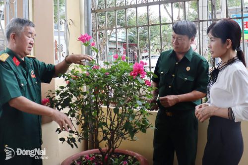 Cựu chiến binh gương mẫu