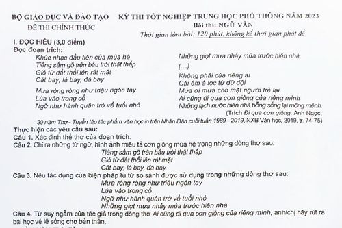 Gợi ý giải đề thi môn Ngữ văn