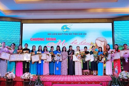 Hội Liên hiệp phụ nữ tỉnh Gia Lai tôn vinh 22 'Mẹ đỡ đầu'