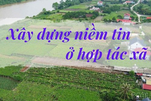Xây dựng niềm tin ở hợp tác xã