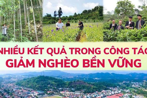 Nhiều kết quả trong công tác giảm nghèo bền vững