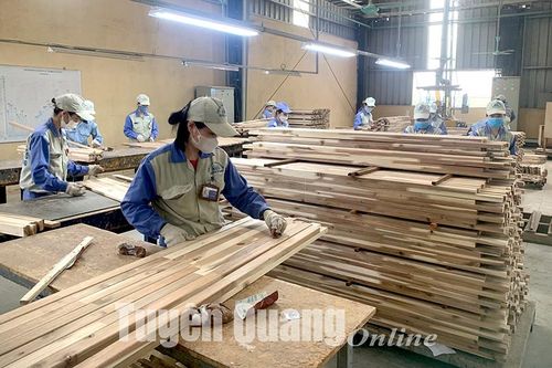 Trụ đỡ của nền kinh tế - Bài 2: Phát triển nông nghiệp gắn với công nghiệp chế biến