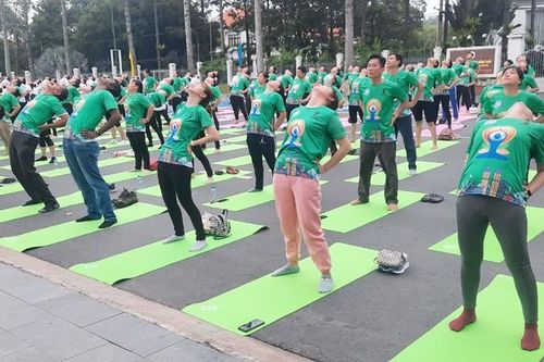 Đồng Tháp: 500 người tham gia đồng diễn Ngày quốc tế Yoga 'Một thế giới, một sức khỏe chung'