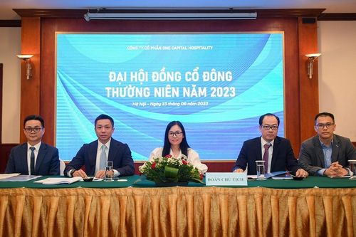 Liên tục 'thay ghế' Chủ tịch Hội đồng quản trị, chủ sở hữu Kem Tràng Tiền vẫn không thể xóa lỗ lũy kế hàng trăm tỷ