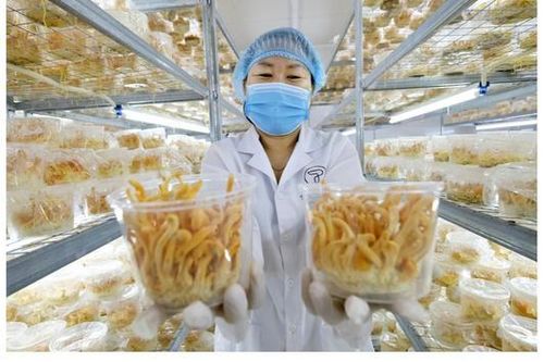 Nữ doanh nhân trẻ làm kinh tế giỏi