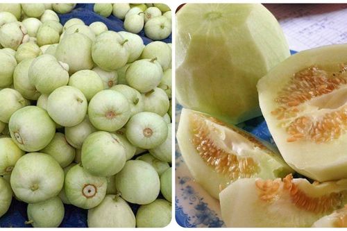Dưa lê có tác dụng gì?