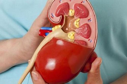 4 dấu hiệu cho thấy trẻ mắc hội chứng thận hư