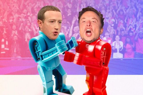 Elon Musk nhận lời tập cùng võ sĩ MMA hay nhất lịch sử