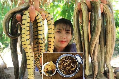 Rùng mình món súp rắn không dành cho người yếu tim