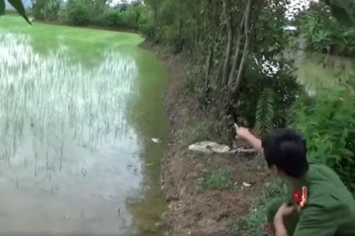 Giăng bẫy điện diệt chuột ngoài đồng khiến 2 người thương vong ở Thanh Hóa