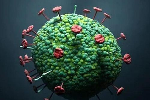 Virus Langya gây viêm phổi: Không lây từ người sang người