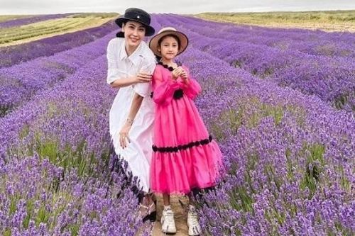 Du lịch Anh, gia đình Hoa hậu Hà Kiều Anh chụp ảnh bên cánh đồng hoa oải hương tím lịm