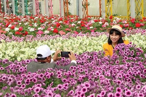 Lâm Đồng phát triển du lịch canh nông