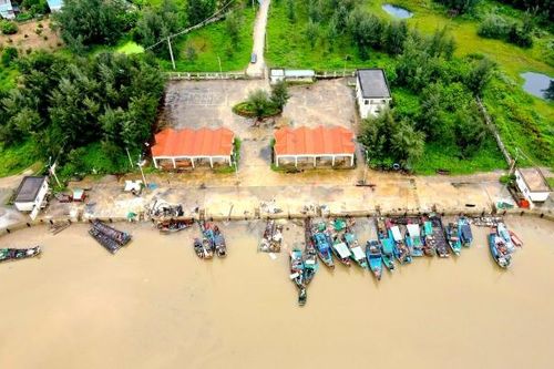 Thanh Hóa: Bến cá Hoằng Phụ sau hơn 6 năm hoàn thành vẫn chưa hoạt động