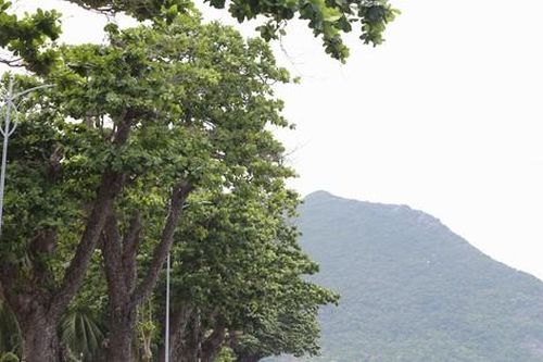 Sắc xanh tươi đẹp trên 'đảo ngọc' Côn Đảo