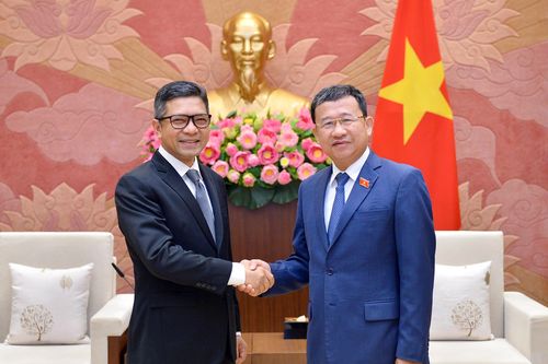 Việt Nam-Indonesia tăng cường hợp tác giữa hai cơ quan lập pháp