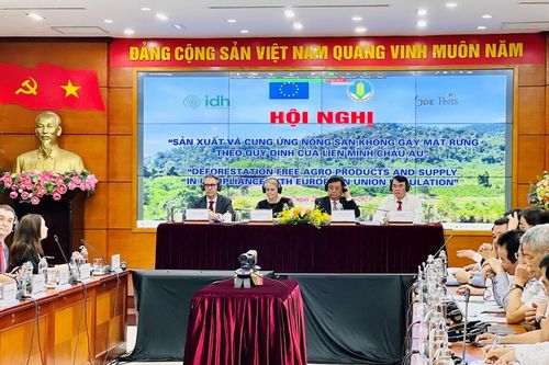 Quy định chống phá rừng EU: Cơ hội để nông nghiệp tăng trưởng xanh