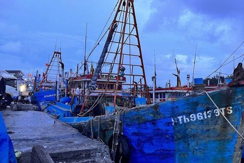 Bình Thuận: Hai lao động tử vong khi xuống hầm chứa cá, nghi ngạt khí