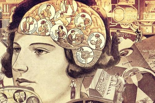Khám phá bí mật về bài kiểm tra chỉ số IQ ở con người