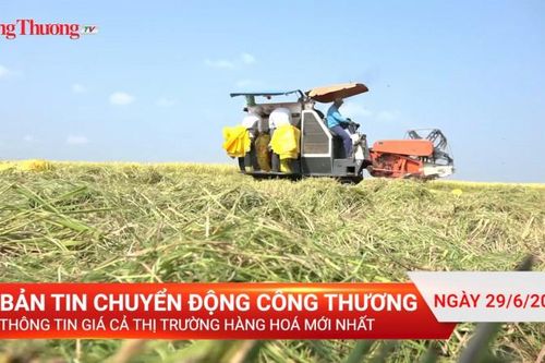 Bản tin Chuyển động Công Thương ngày 29/6/2023: Thông tin giá cả thị trường hàng hóa mới nhất