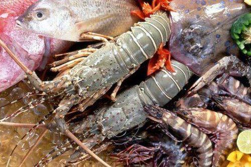 Một số điểm sáng trong bức tranh nông lâm thủy sản 6 tháng đầu năm 2023