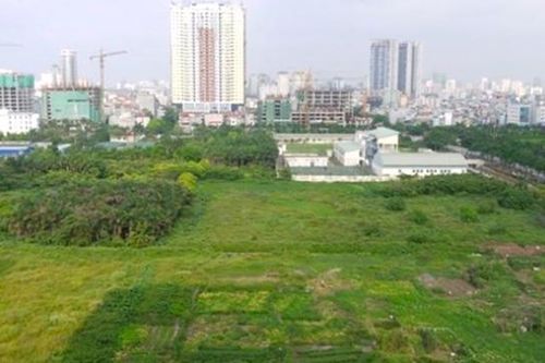TP.HCM được quyền quyết định chuyển đổi đất trồng lúa dưới 500 ha