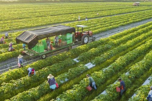 Tiềm năng ngành nông nghiệp rất lớn nhưng vẫn khó thu hút đầu tư