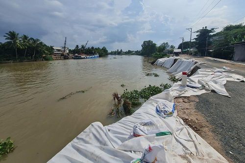 An Giang nỗ lực giảm nhẹ thiệt hại do sạt lở