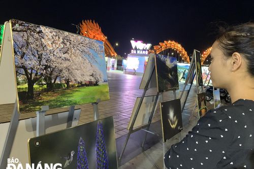Triển lãm ảnh gây quỹ cho bệnh nhân ung thư