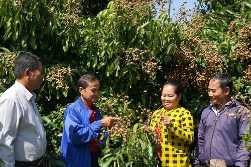Nửa nhiệm kỳ tạo niềm tin, động lực để đạt và vượt các chỉ tiêu còn lại