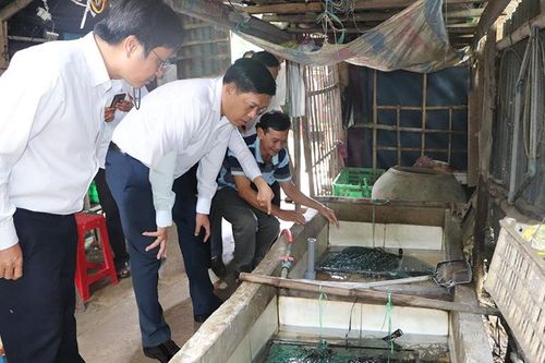 Kinh tế - xã hội vùng biên tiếp tục chuyển biến tích cực