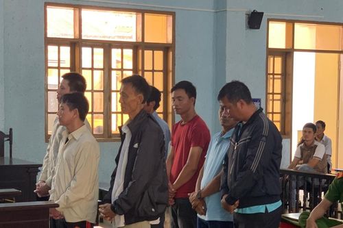 2 cậu cháu tổ chức đánh bạc lãnh án