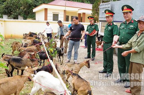 Đoàn Kinh tế – Quốc phòng 338 đồng hành cùng người dân biên giới