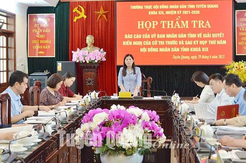 Thẩm tra các báo cáo, dự thảo nghị quyết