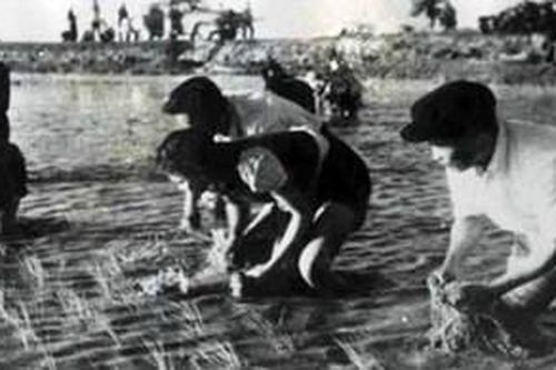 Nguyễn Chí Thanh - Đại tướng của nông dân