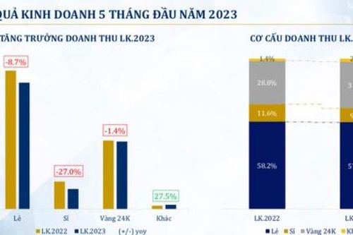 Doanh thu và lợi nhuận PNJ giảm, cổ phiếu cũng sụt giá