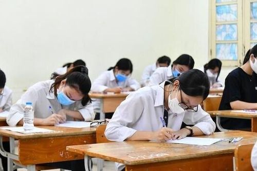 Đáp án đề thi môn Sinh học mã đề 208 Kỳ thi THPT Quốc gia năm 2023