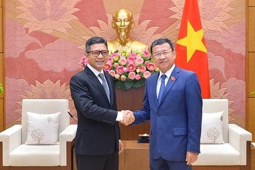 Chủ nhiệm Ủy ban Đối ngoại Vũ Hải Hà tiếp Đại sứ Indonesia